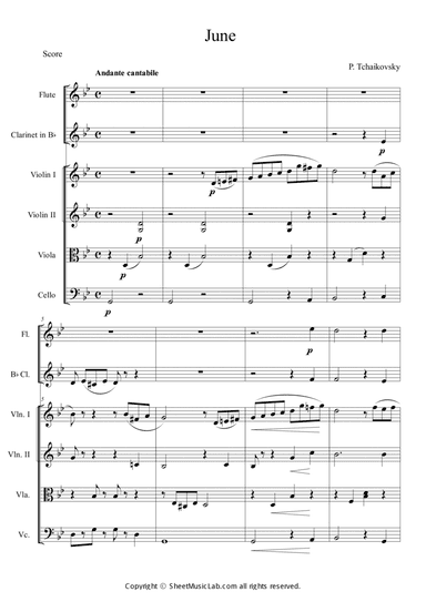 Baracarolle (The seasons No.6: Opus 37a JUNE)