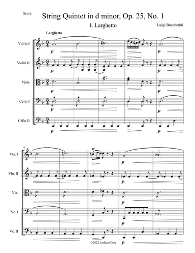 String Quintet in d minor, Op. 25, No. 1, Movement 1
