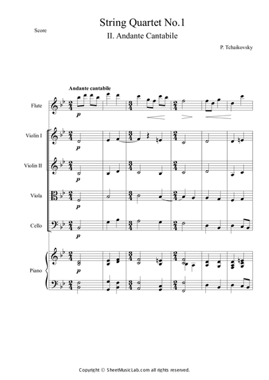 String Quartet No.1 Andante Cantabile