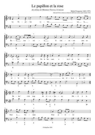 Le papillon et la rose