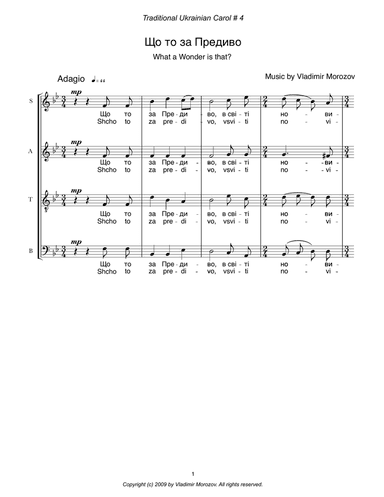 What a Wonder is that?