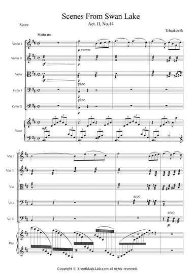 Scene From Swan Lake