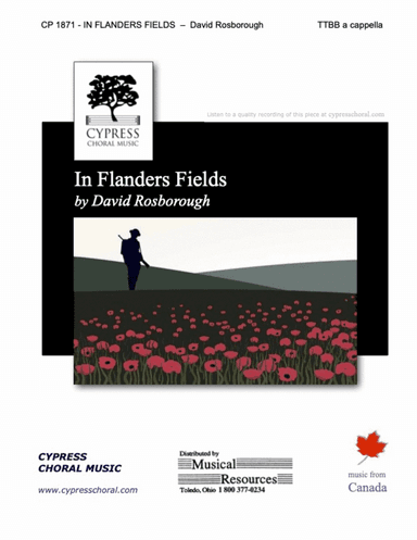 In Flanders Fields - by David Rosborough