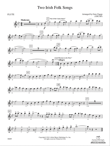 Two Irish Folk Songs: Flute