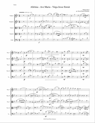 Alleluia - Ave Maria - Virga Jesse floruit arranged for string quintet (2 violins, 2 violas, 1 cello