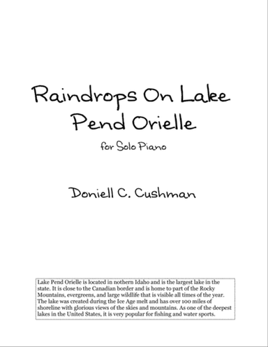 Raindrops on Lake Pend Orielle