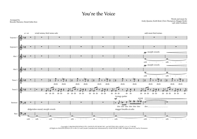 You're The Voice