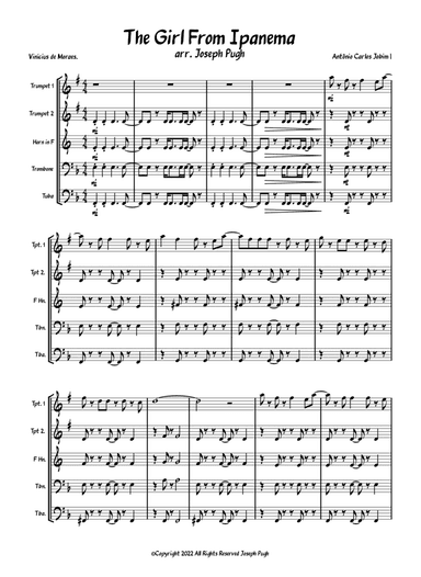 The Girl From Ipanema (garĂ´ta De Ipanema)