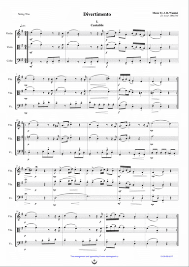 Divertimento (Cantabile, Menuetto, Allegro)