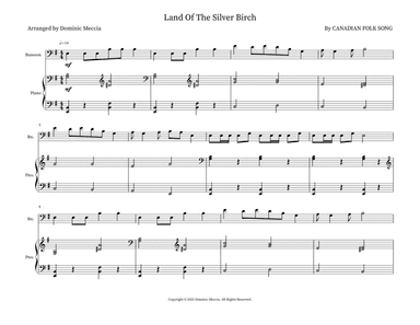 Land Of The Silver Birch