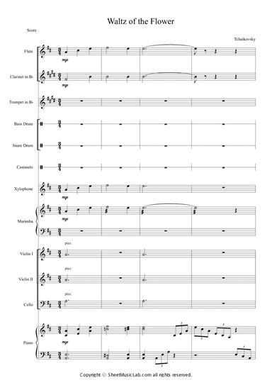 Nutcracker Op.71a Waltz of the Flowers