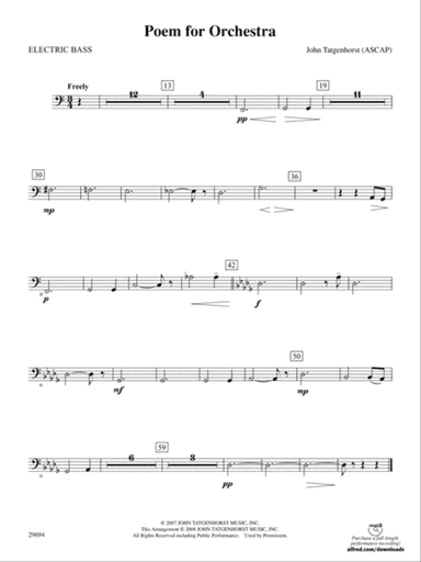 Poem for Orchestra: Electric Bass