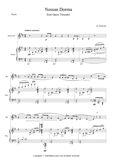 Nessun Dorma (Opera Turandot aria)