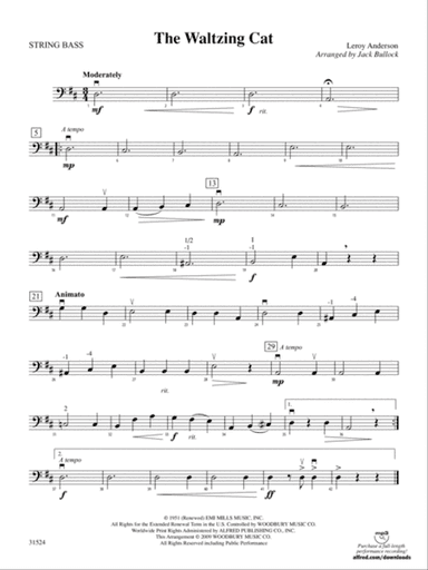 The Waltzing Cat: String Bass