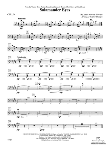 Salamander Eyes: Cello