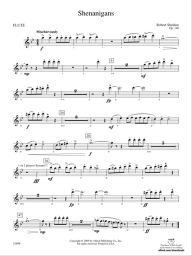 Shenanigans: Flute