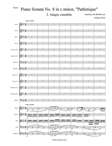 Pathetique Sonata, Movement 2