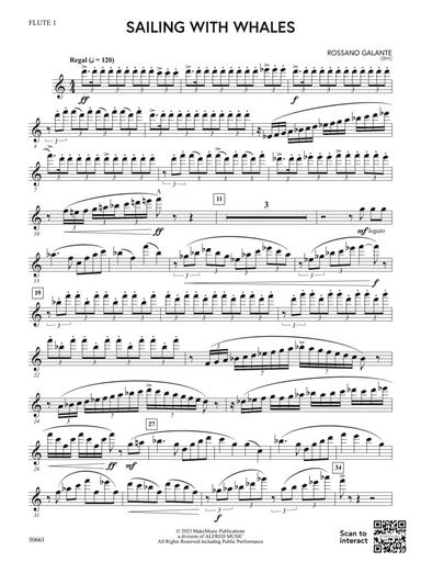 Sailing with Whales: Flute