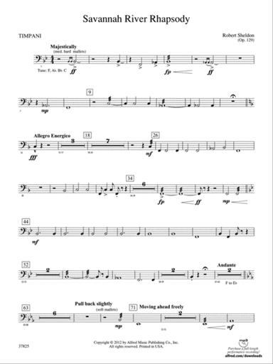 Savannah River Rhapsody: Timpani