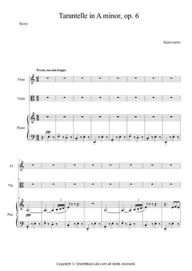 Tarantelle in A minor, op.6