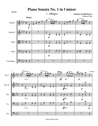 Piano Sonata No. 1, Movement 1