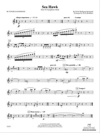 Sea Hawk: B-flat Tenor Saxophone