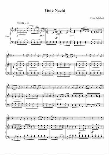 Franz Schubert - Gute Nacht (Violin Solo)