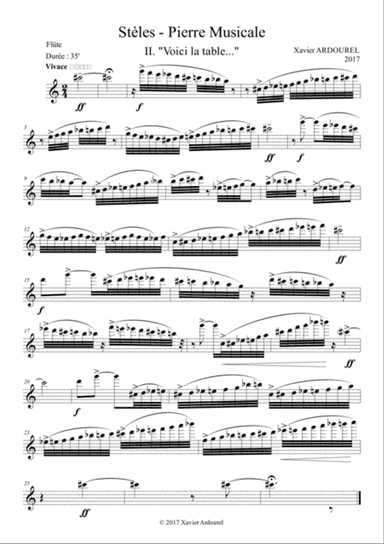 Stèles -Pierre Musicale II