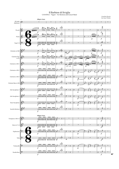 Il barbiere di Siviglia - Figaro