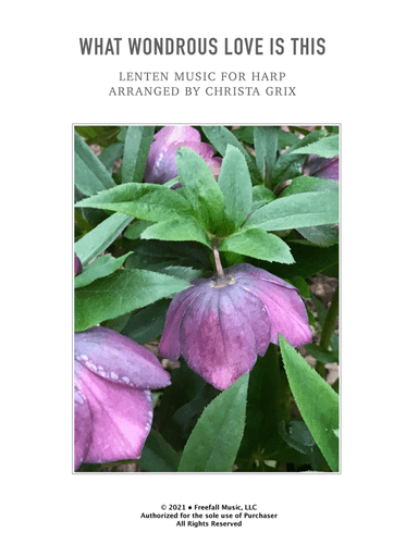 What Wondrous Love Is This