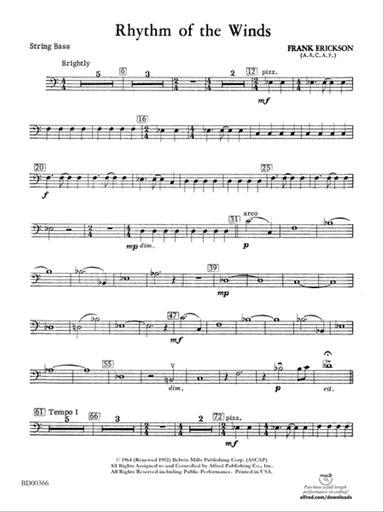 Rhythm of the Winds: String Bass