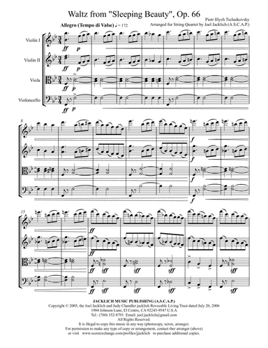 Waltz from "Sleeping Beauty", Op. 66