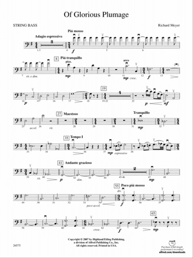 Of Glorious Plumage: String Bass