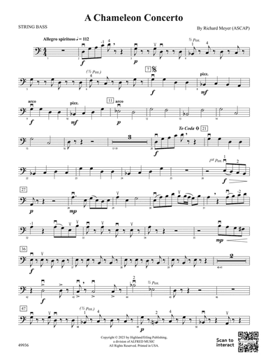 A Chameleon Concerto: String Bass