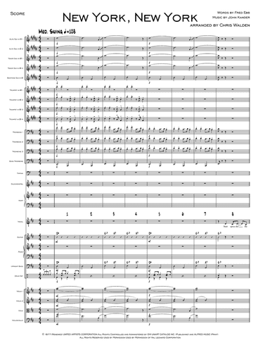Theme From "New York, New York"