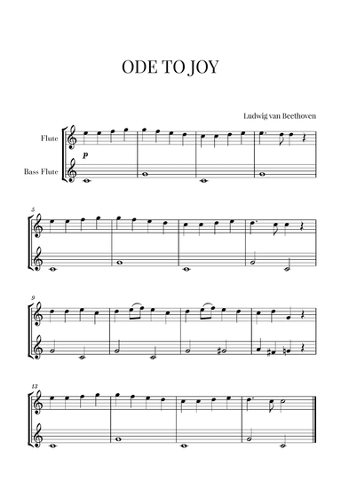 Beethoven - Ode to Joy (for Flute and Bass Flute)
