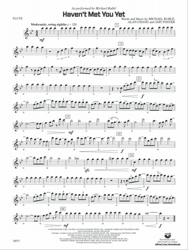 Haven't Met You Yet: Flute
