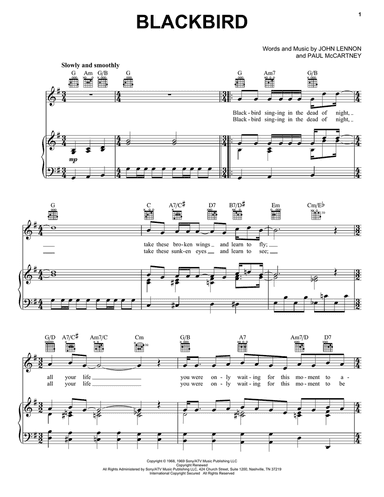 Blackbird