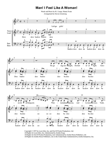 Man! I Feel Like A Woman!