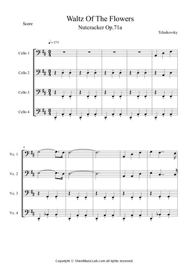 Nutcracker Op.71a - Waltz of the Flowers