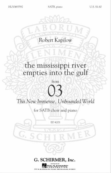 The Mississippi River Empties Into The Gulf