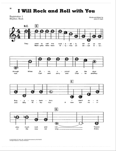 I Will Rock And Roll With You