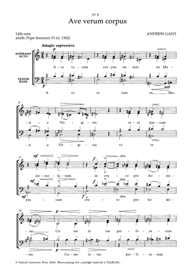Ave verum corpus