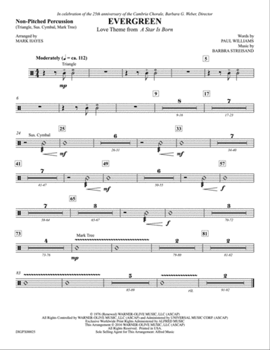 Evergreen (Love Theme from A Star Is Born): Non-Pitched Percussion