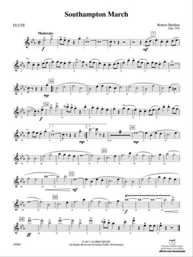 Southampton March: Flute