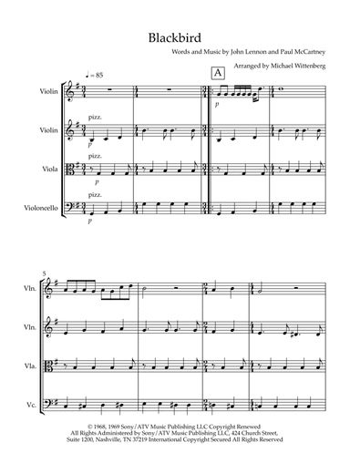 Blackbird