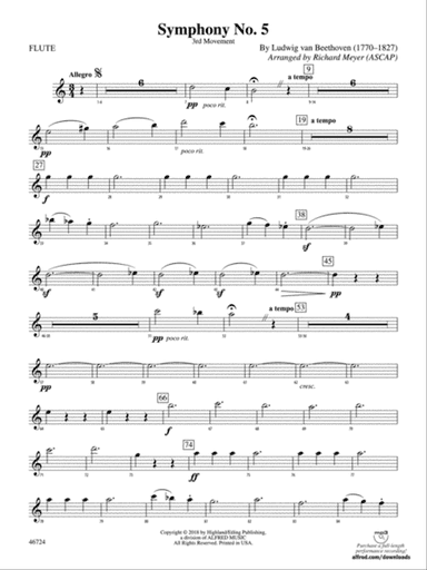 Symphony No. 5: Flute