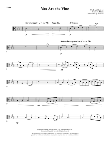 You Are the Vine - Viola