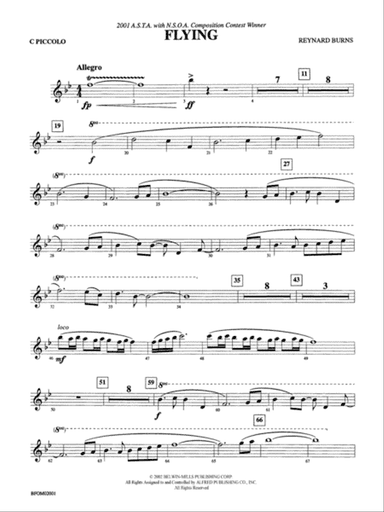 Flying: Piccolo