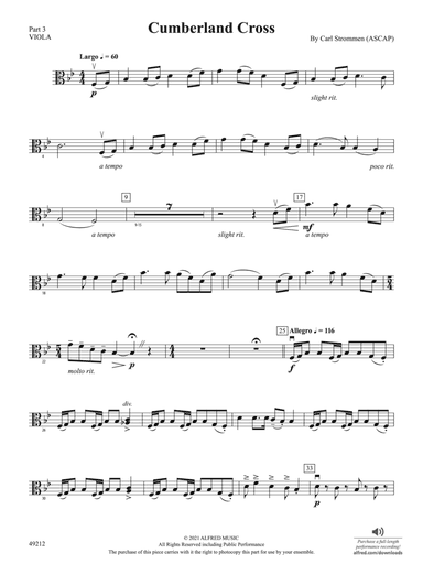 Cumberland Cross: Part 3 - Viola